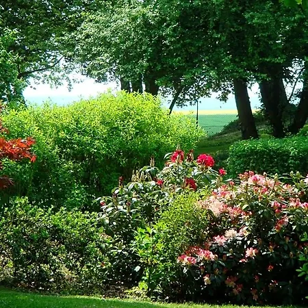 La Maison Blanche Cuvergnon