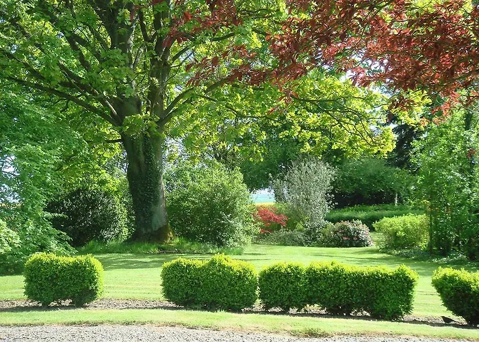 La Maison Blanche Cuvergnon