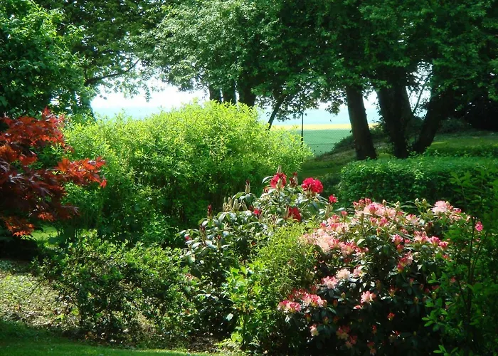 Bed & Breakfast La Maison Blanche Cuvergnon