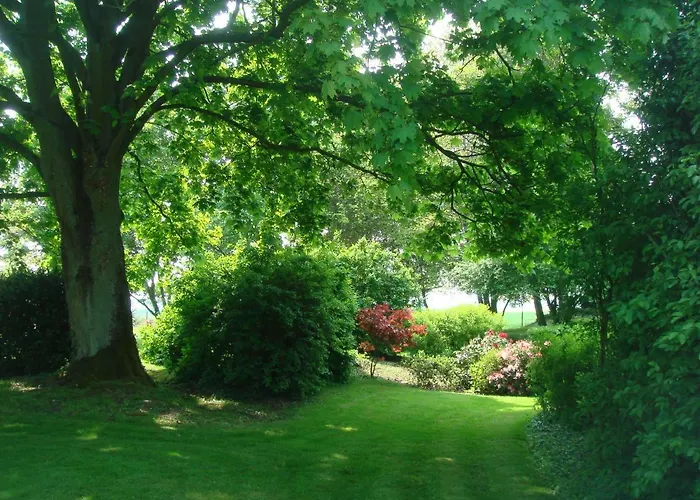 La Maison Blanche Bed & Breakfast Cuvergnon